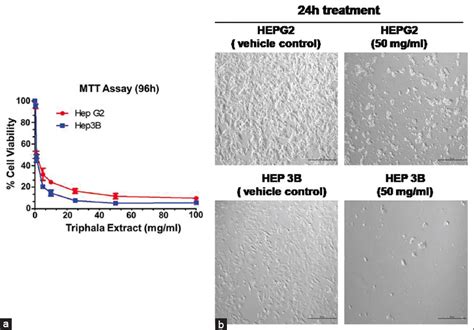 Triphala extract Reduces Anti-apoptotic Protein (Mcl-1) Expression ...