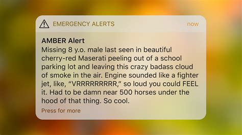Amber Alerts: A Crucial Tool in the Fight for Missing Children - Discovery2400