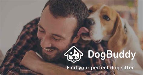 Trusted Dog Sitting, Walking & Boarding | DogBuddy