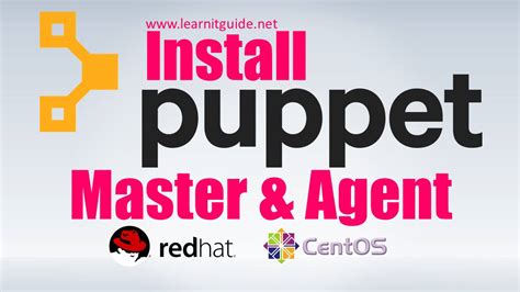 Image result for Puppet Install