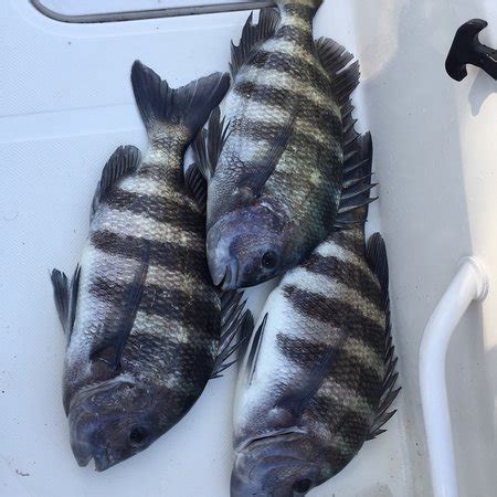 Top Slot Fishing Charters (Matlacha) - All You Need to Know BEFORE You Go