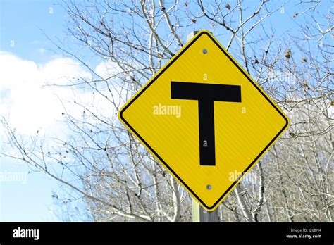 Uncontrolled T-intersection 的图像结果