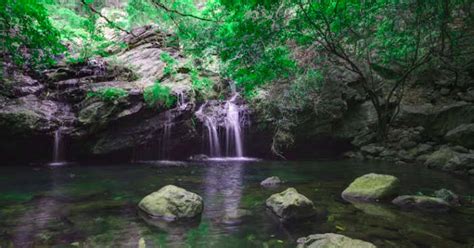5 Serene Waterfalls Near Vijayawada You Can’t Miss In 2026!