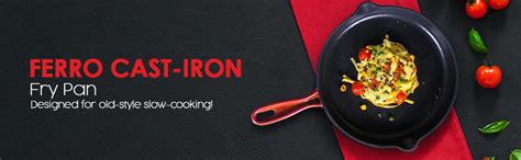 Buy Wonderchef Ferro Cast Iron Fry Pan, 1.6 Liters/26 cm, Red Online at ...