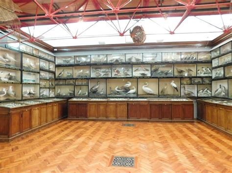 DORMAN MUSEUM (2025) All You Need to Know BEFORE You Go (with Photos ...