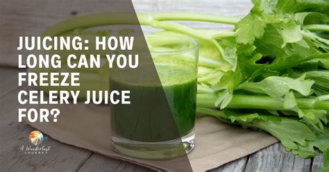 Juicing: How Long Can You Freeze Celery Juice for? - Sandra Campillo