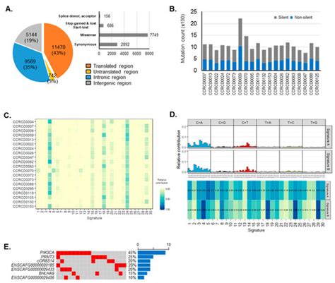 Somatic Mutation of PIK3CA (H1047R) Is a Common Driver Mutation Hotspot ...