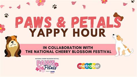 Paws and Petals Yappy Hour with the National Cherry Blossom Festival ...