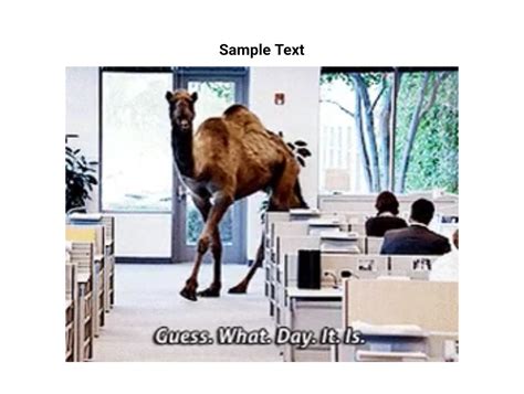 Guess what day it is Hump day gif Animated Gif Maker - Piñata Farms ...