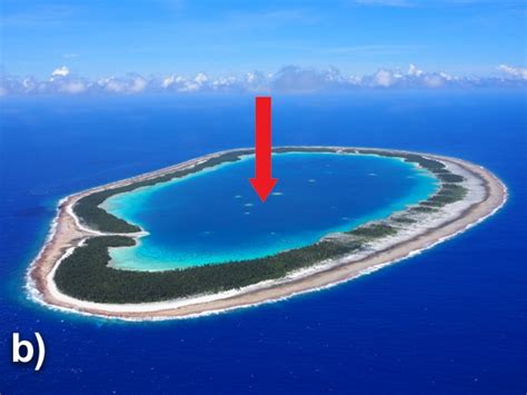 KSLOF Coral Reef Education Portal: Free Reef Zonation CourseLiving ...