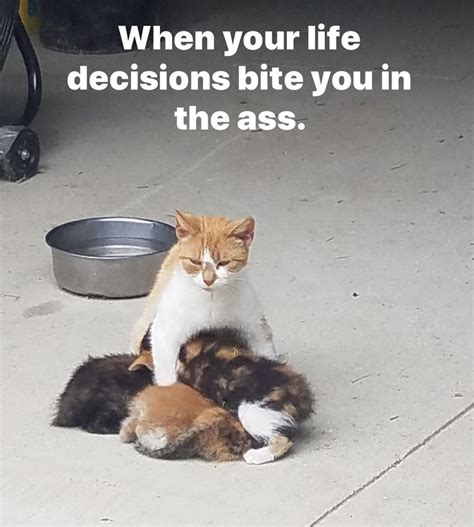 Image result for Go Have Fun Meme