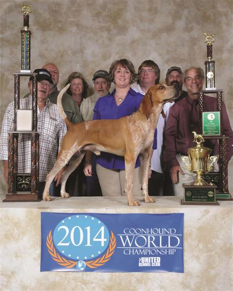 Coonhound World Championship Historical Winners List | United Kennel ...