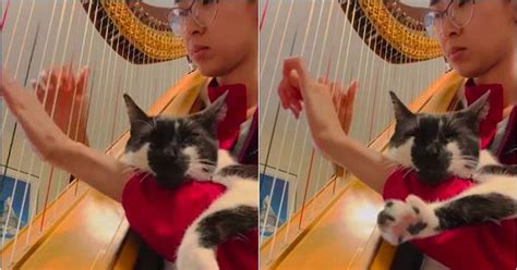 ‘Is Joe Biden woke?’: British PM Boris Johnson seems uncertain