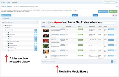 Access Library Media Type 的图像结果