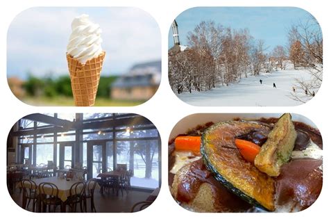 Asahiyama Zoo and Shirogane Blue Pond Day Tour from Sapporo, Hokkaido ...