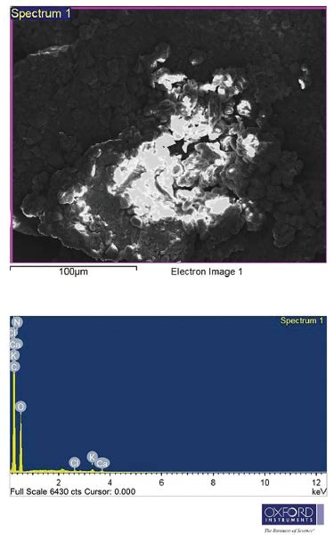 Physicochemical, phytochemical, and GC–MS analysis of leaf and fruit of ...