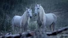 why don t we unicorns today this ballsy why don t we unicorns today this ballsy ad why don t we unicorns today this ballsy why don t we unicorns today this ballsy ad