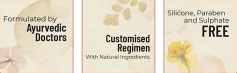 Buy Vebix Professional Customised HairCare Set | 4 Ayurvedic Products ...