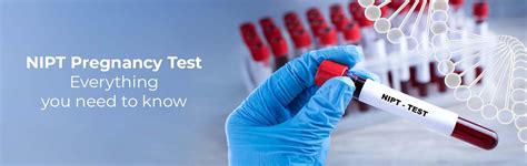 NIPT Test in Pregnancy: A Simple Guide for Expectant Parents