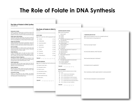 Image result for Folate Function