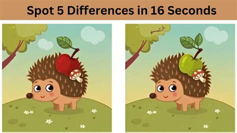 Spot The Difference: Can you spot 5 differences within 16 seconds?