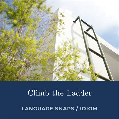 Climbing Language In Spanish at John Rosado blog