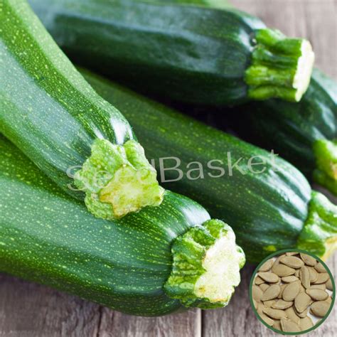 Buy Zucchini Seeds online in India