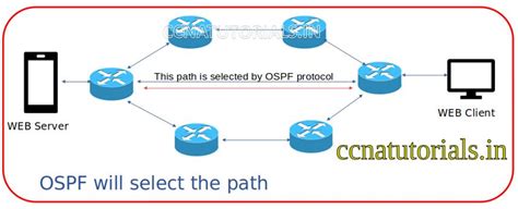 Dynamic Routing with Reflex Tutorial 的图像结果