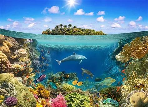 Creative Kids: Ocean Theme at The Playroom, 2205 Commerce Road, Forest ...