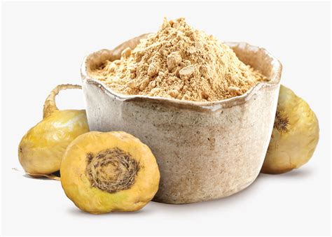 Image result for Maca Root PNG