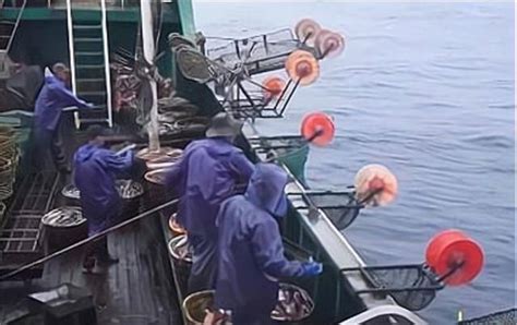 渔船在海上下网捕鱼，鱼捕到多少先不说，船员们吃的可都是海鲜-纪录片-完整版免费在线观看-爱奇艺