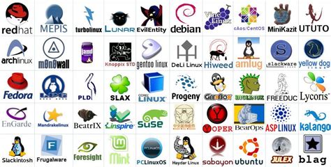 Different Versions of Linux and Their Interfaces 的图像结果