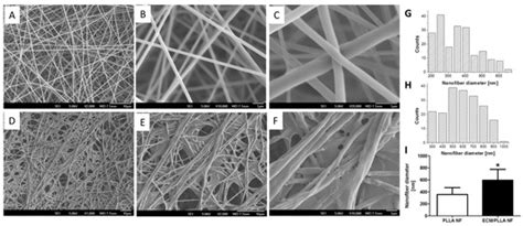 ECM Decorated Electrospun Nanofiber for Improving Bone Tissue Regeneration