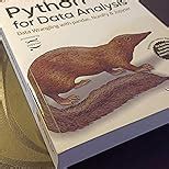 Python for Data Analysis Book, Third Edition