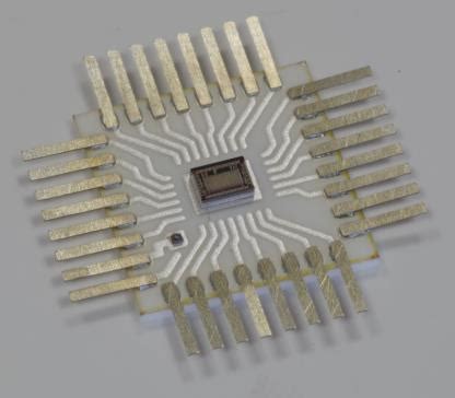 Expander Chip 的图像结果