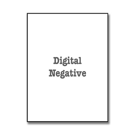 Digital Negative Tutorial 的图像结果