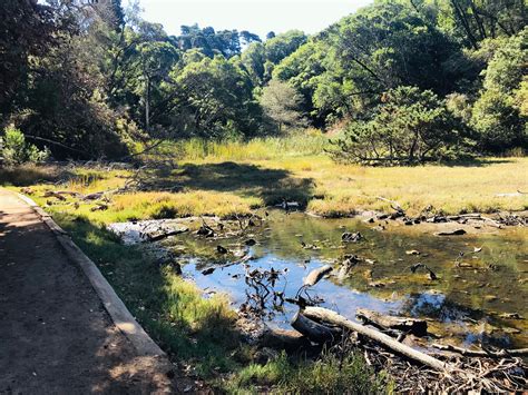 Image result for Shell Point Beach