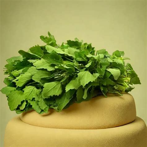 Buy Vegetable Seeds Online in India | Quality Seeds – Plant Orbit