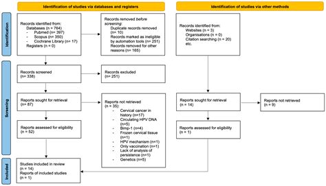 Analysis of Molecular Markers of HPV Infection Persistence: A Narrative ...