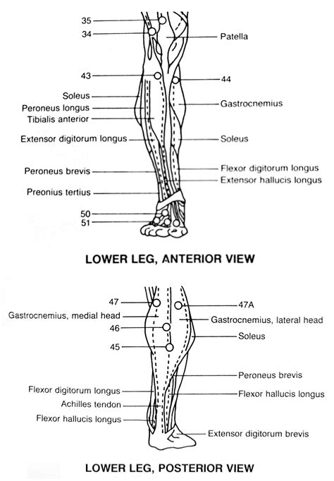 Good Night Restless Legs | Bonnie Prudden Educational Institute