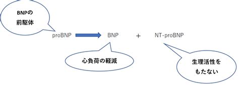Image result for Source Destination Data Map
