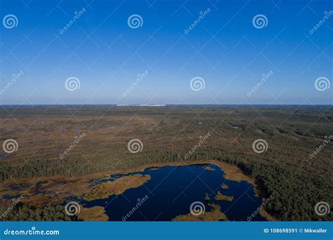 Swamp Aerial View 的图像结果