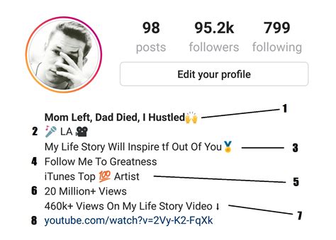 How To Make A Good Instagram Bio To Gain Followers Fast And Easy ...