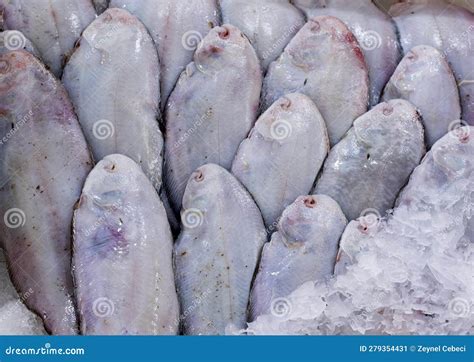 Common Sole Fishes are in Sale on a Table in a Fish Market Stock Image ...