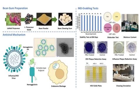 New antiviral chewing gum may fight infection, curb spread of flu ...