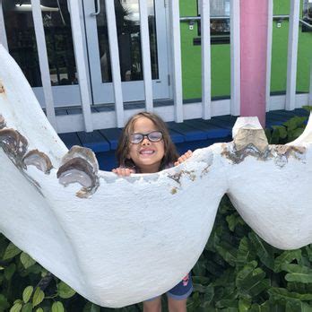 Image result for Shell World