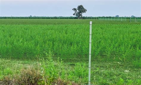 Agriculture - Turf Guard Mesh Manufacturer from Vadodara