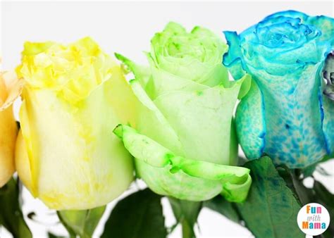 Image result for Color Changing Experiment