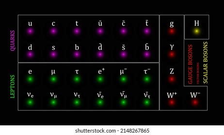 Image result for Elementary Particles