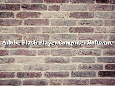 Flash Software 的图像结果